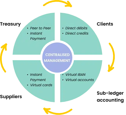 Centralise all the necessary information in your tools to optimise operations: client payments, supplier payments, accounts payable, and real-time cash flow visibility.